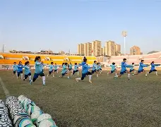 APP下载-德甲法兰克福vs波鸿赛事比分预测